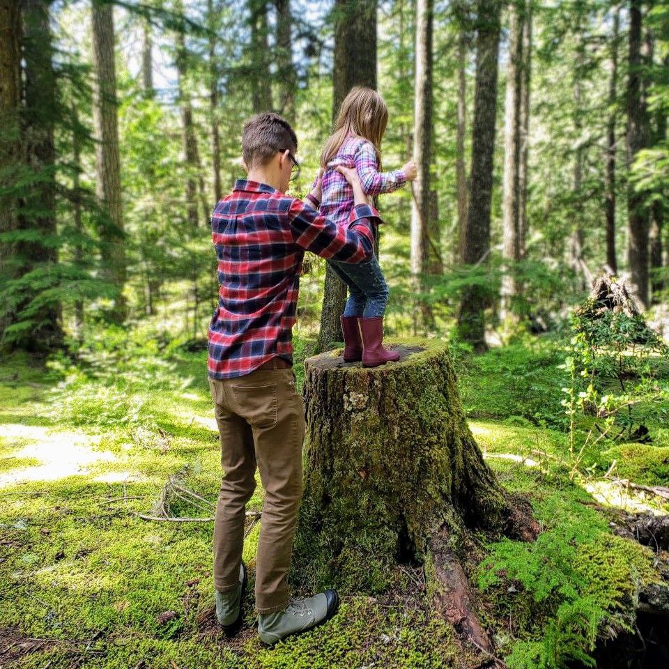 Kimberly's husband and daughter standing on a stump in a mossy forest